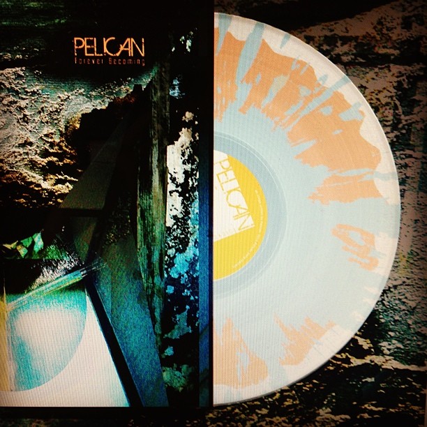 Pelican_splatter_9_21_2013.jpg