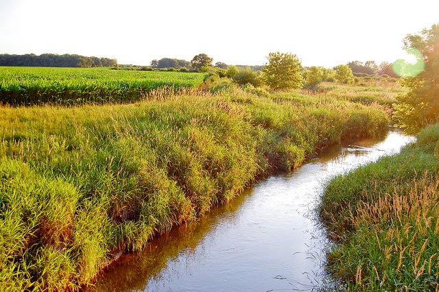 2012_08_18_NippersinkCreek.jpg