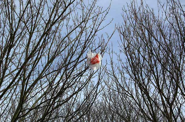 2012_08_26_Plasticbagtree.jpg
