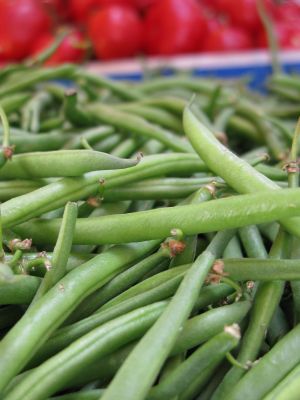 2009_4_22GreenBeans.jpg