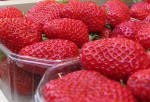 2009_6_15_strawberry.jpg