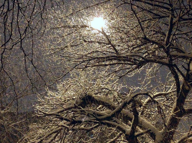 2016_snow12.jpg