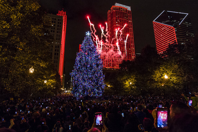 a316e4d2ctreelighting-5-jpg-mobile.jpeg