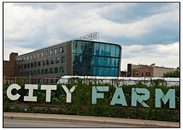 cityfarm.jpg