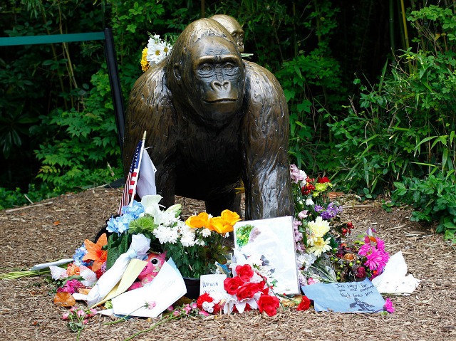 Harambe.jpg