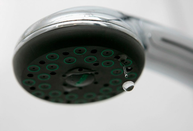 ShowerHead.jpg