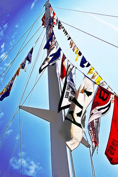 2010_07_mac_flags.jpg