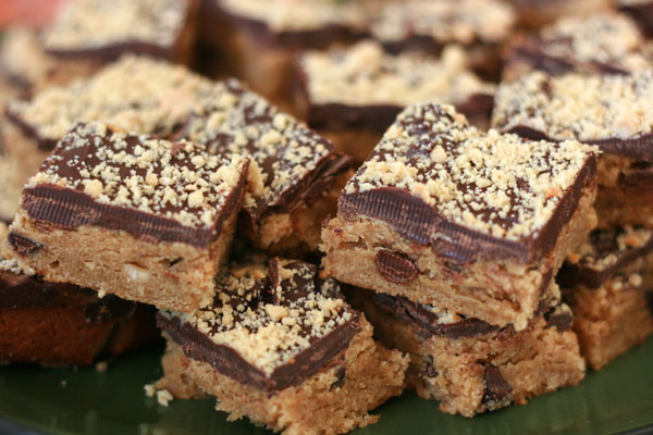 2008_01_chocolate_peanut_buddy_bars.jpg