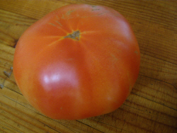 2007_08_gardenist3_maters.jpg