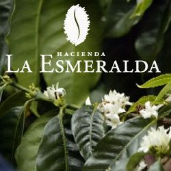 2007_09_esmeralda.jpg