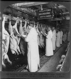 2008_03_Chicago_meat_inspection_swift_co_1906.jpg