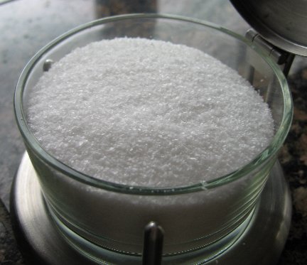 2008_03_Salt1.jpg