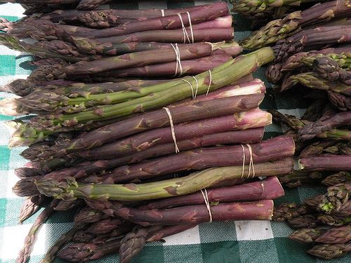 2008_09_purple_asparagus.jpg