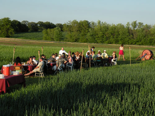 2009_07_CP_Farm14.jpg