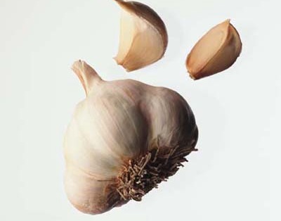 2009_07_garlic.jpg