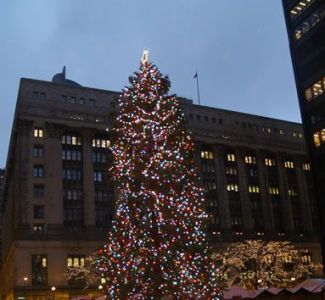 2010-11_23_downtown_tree.jpg