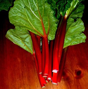 2010_04_rhubarb.jpg