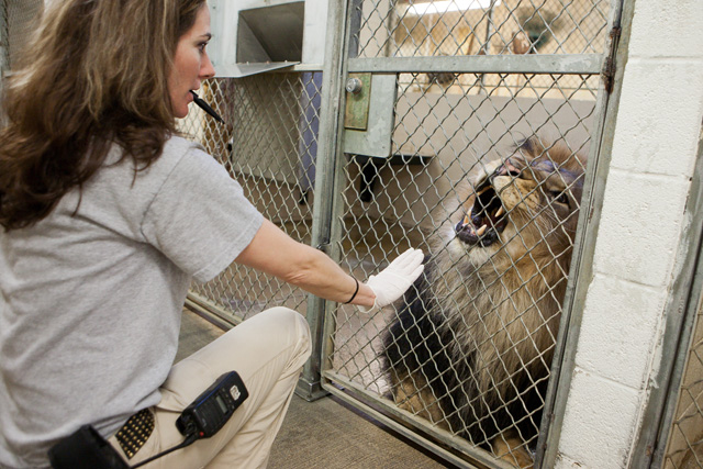 2011_0429_animalkeeper_06.jpg
