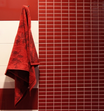 2011_11_29_shower.jpg