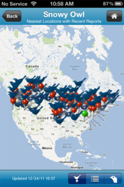 2011_12_27_birdseye_snowy_owl_small.png