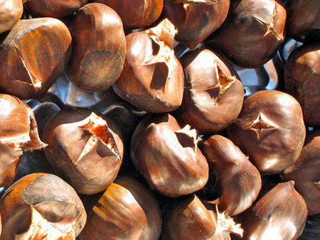 2011_12_DiGilio_Chestnuts.jpg