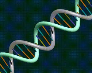2011_4_15_DNA.gif