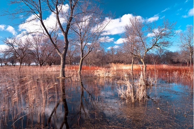 2011_4_2_Weather.jpg