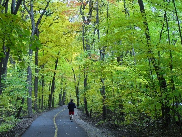 2011_7_14_forest_preserves.jpg