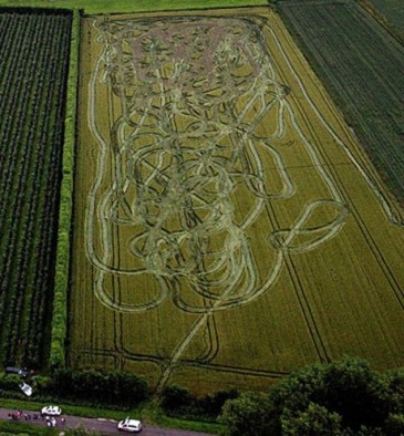 2011_7_25_corn_field.jpg