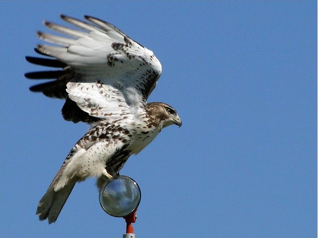 2011_8_23_EE.jpg