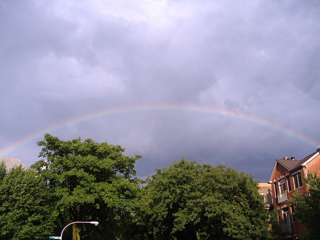 2011_8_8_Weather.jpg