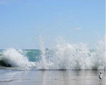 2011_9_30_wves.jpg