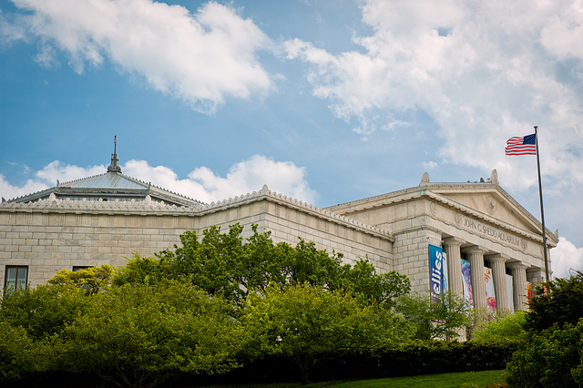 2012-6_18_shedd.jpg