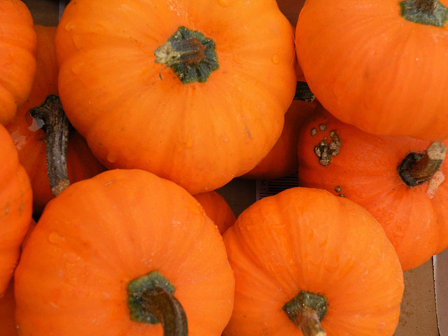 2012_10_27_pumpkins.jpg
