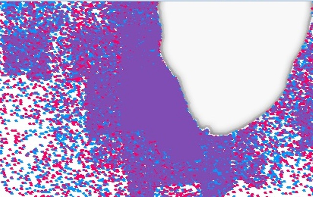 2012_11_14_election2012mapdetail.jpg