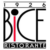 2012_1_19_bice.jpg