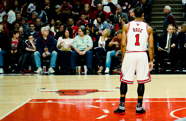 2012_2_14_bulls_rose.jpg