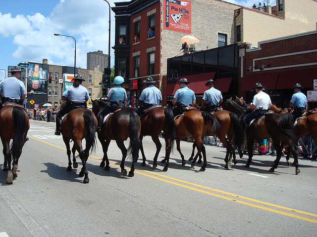 2012_2_21_horses.jpg