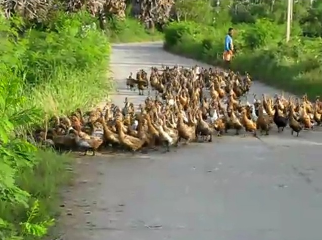 2012_2_9_diversion.jpg