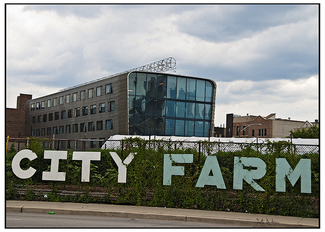 2012_8_8_city_farm.jpg