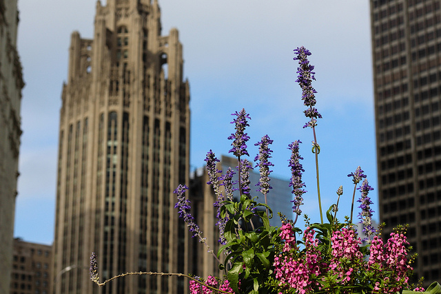 2013_10_3_mnltribunetower.jpg