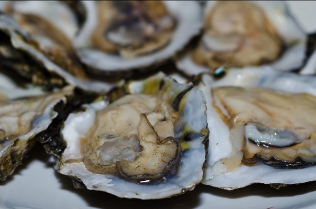 2013_12_19_oyster.jpg