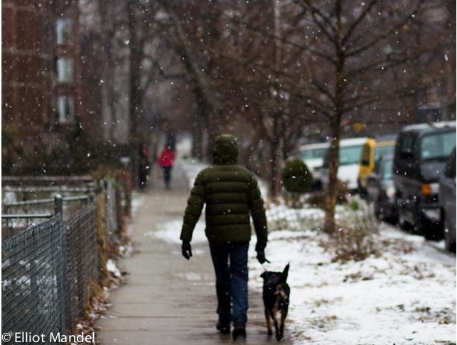 2013_1_7_snow.jpg