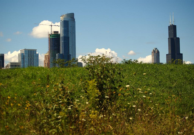 2013_1_9_northerlyisland.jpg