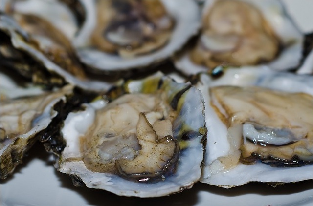 2013_3_27_shaws_oysters.jpg