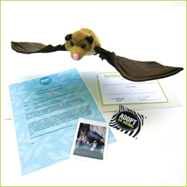 2007_12_Fruitbat.jpg