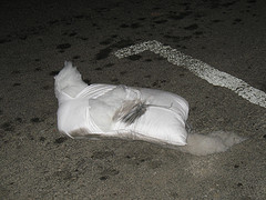 2008_03_runoverpillow.jpg