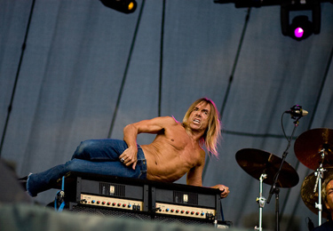 Iggy Pop by Olivia Leigh