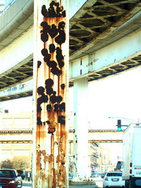 splotchedbridgepost073108.jpg