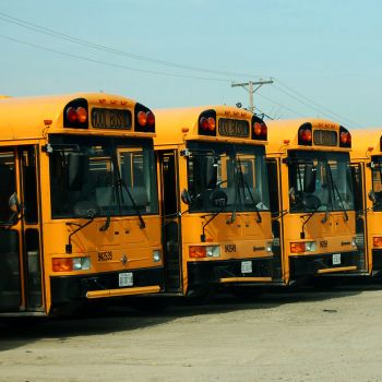 2008_4_buses.jpg